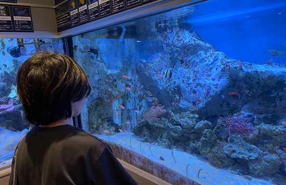 年間行事「秋」 秋外出（ユニットごと①）